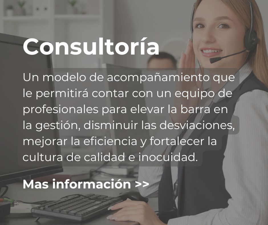 Consultoria