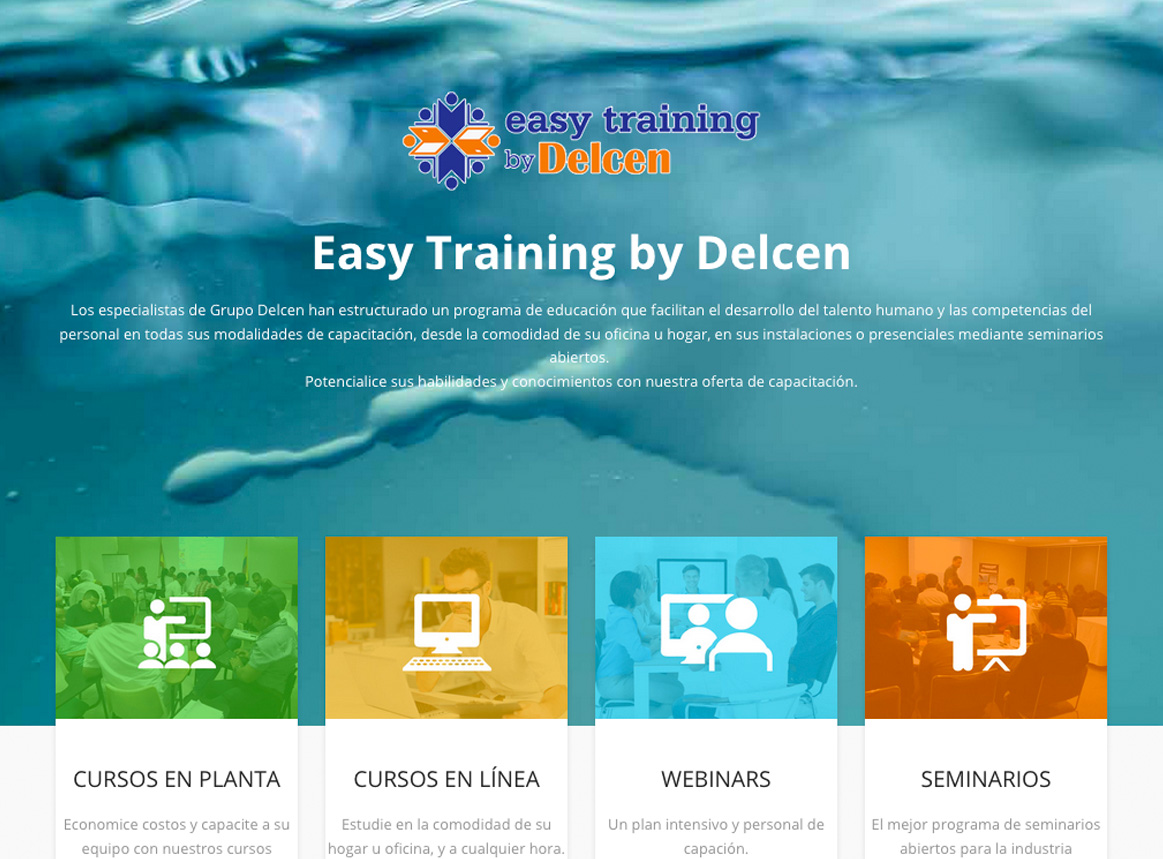 Cursos Online e In Situ, Seminarios, Webinars