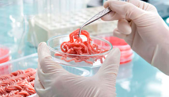 <span>Curso en línea</span>Principios de Microbiología en Procesos Alimentarios